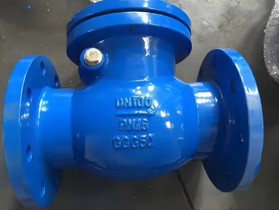 Zakretni nepovratni ventil od nodularnog željeza PN10